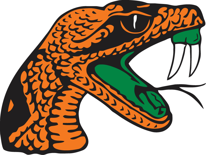 Florida A&M Rattlers 2001-Pres Secondary Logo iron on transfers for T-shirts